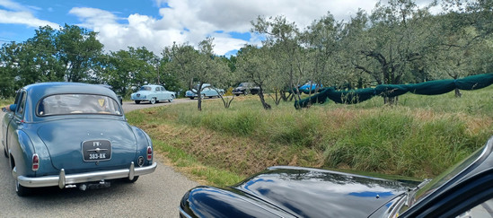 Fregates dans le Vaucluse Fregates dans le Vaucluse